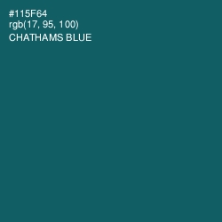 #115F64 - Chathams Blue Color Image